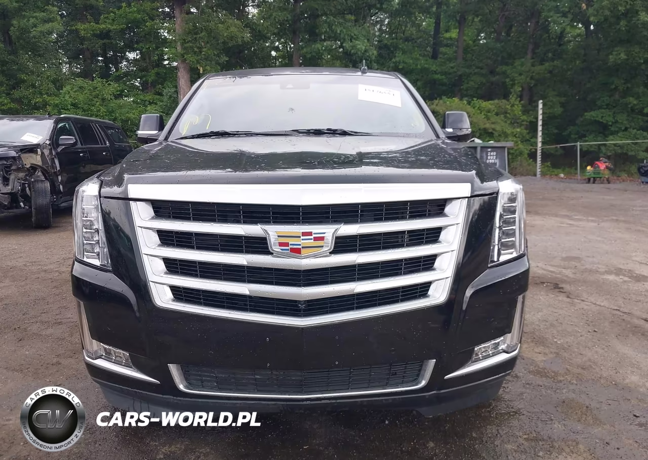 2016 Cadillac Escalade Esv Luxury Collection VIN:1GYS4HKJ5GR146654 - 12