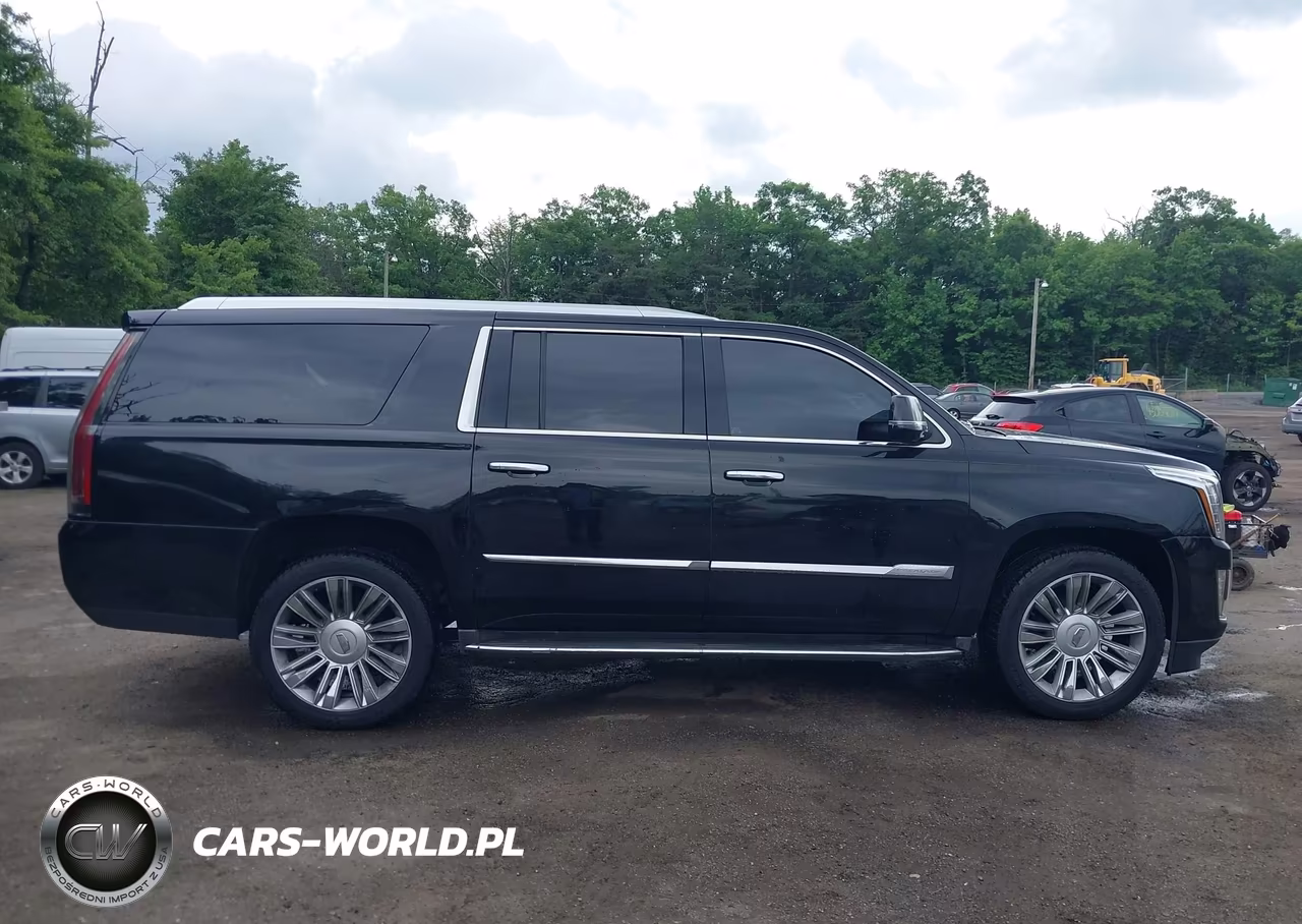 2016 Cadillac Escalade Esv Luxury Collection VIN:1GYS4HKJ5GR146654 - 13
