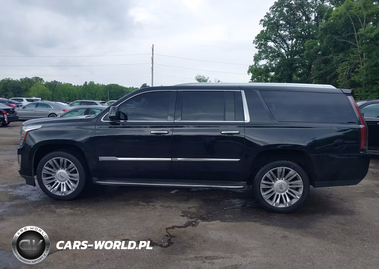 2016 Cadillac Escalade Esv Luxury Collection VIN:1GYS4HKJ5GR146654 - 14