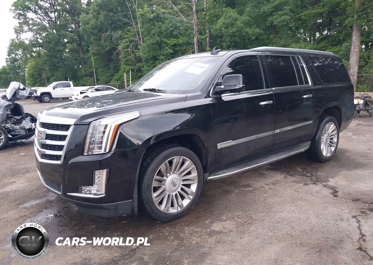 2016 Cadillac Escalade Esv Luxury Collection VIN:1GYS4HKJ5GR146654 - 2