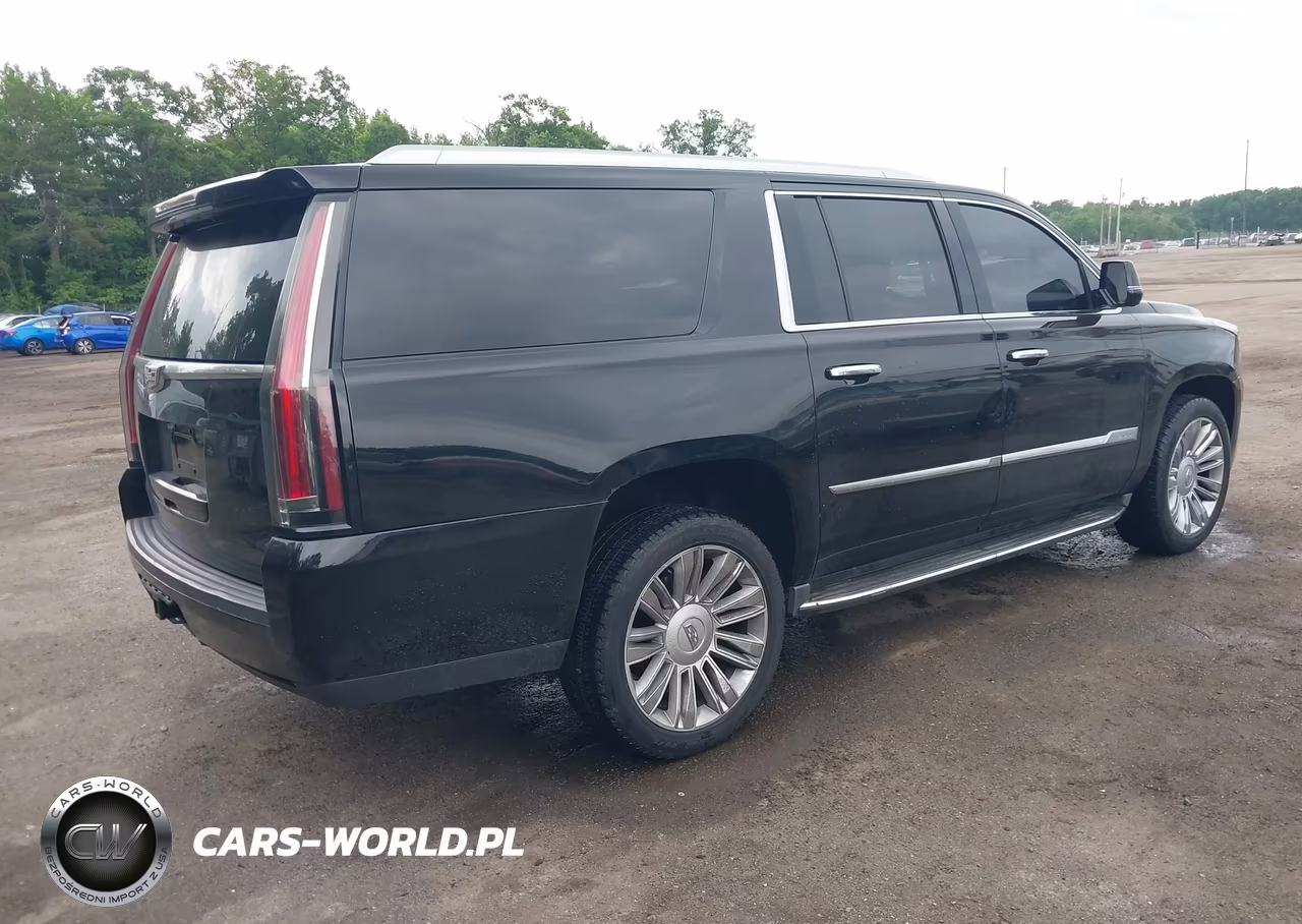 2016 Cadillac Escalade Esv Luxury Collection VIN:1GYS4HKJ5GR146654 - 4
