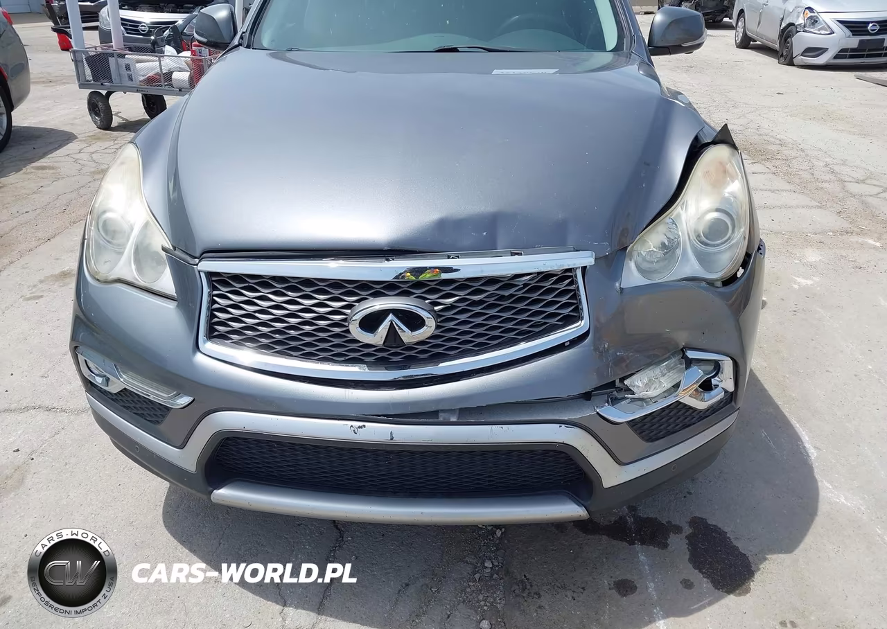2016 Infiniti Qx50 VIN:JN1BJ0RP7GM230968 - 12
