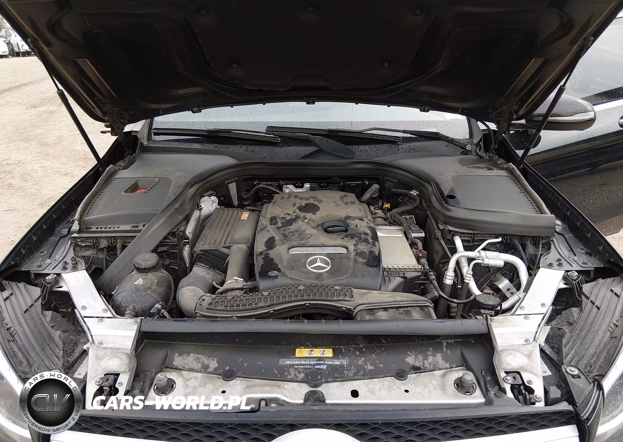 2018 Mercedes-Benz Glc 300 VIN:WDC0G4JBXJF305744 - 10