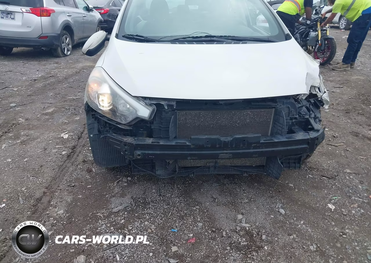 2015 Kia Forte Lx VIN:KNAFK4A63F5312546 - 12