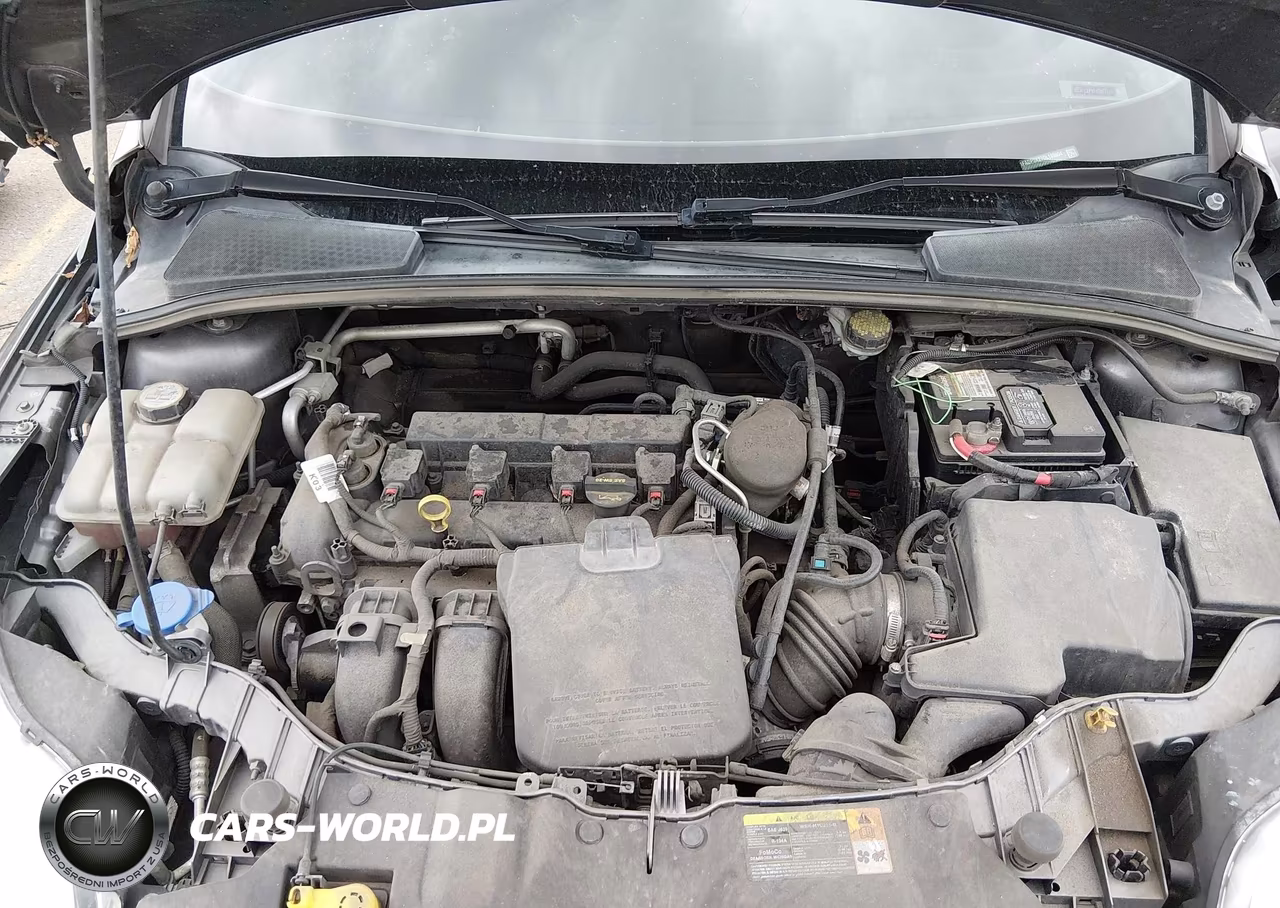 2013 Ford Focus Se VIN:1FADP3K27DL189804 - 10