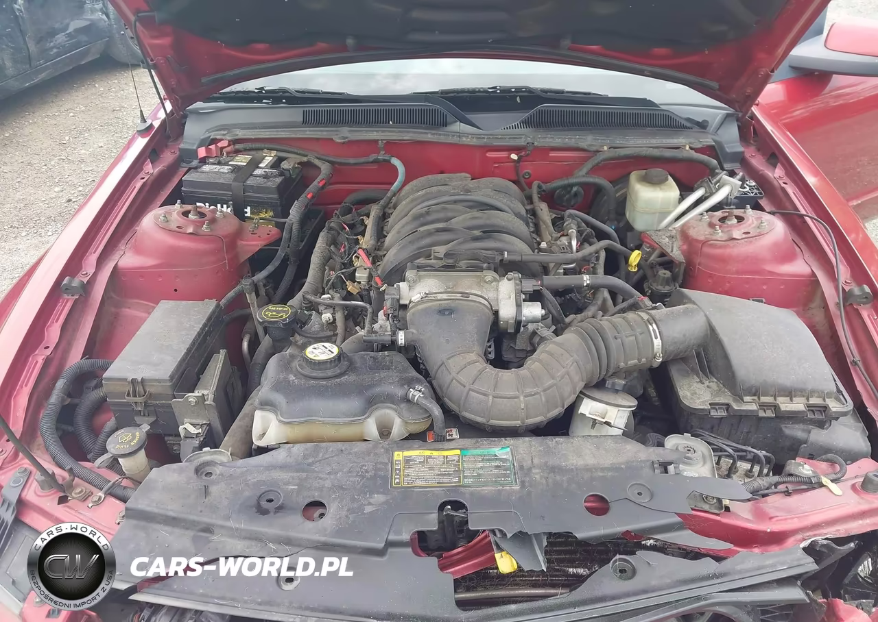 2006 Ford Mustang Gt VIN:1ZVFT82H065151867 - 10