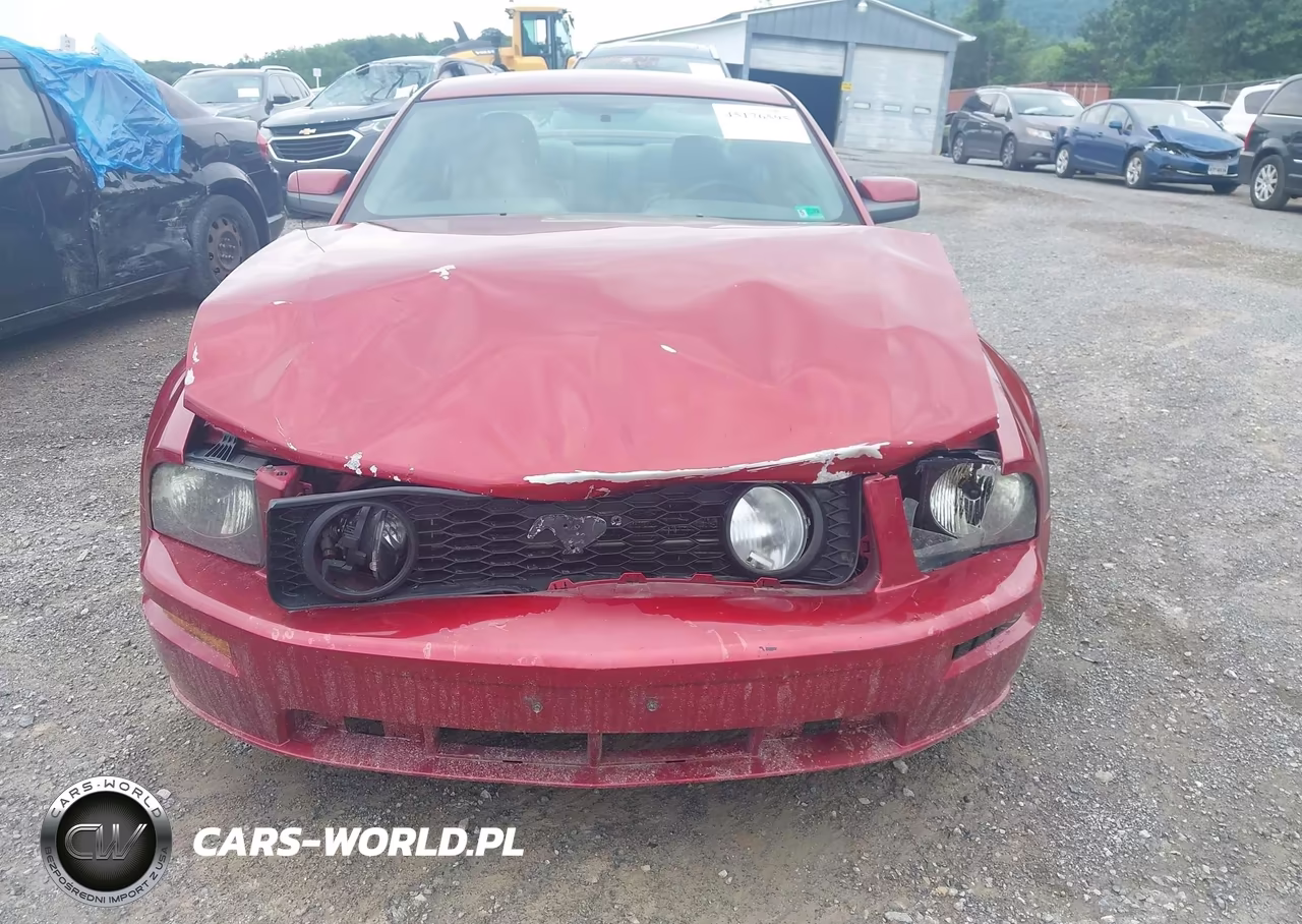 2006 Ford Mustang Gt VIN:1ZVFT82H065151867 - 13
