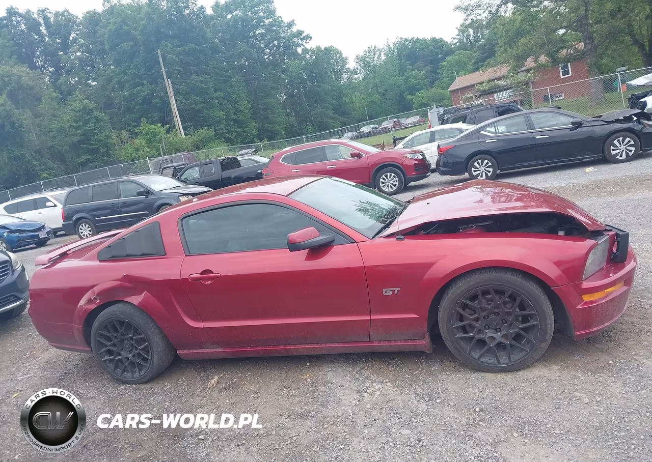 2006 Ford Mustang Gt VIN:1ZVFT82H065151867 - 14