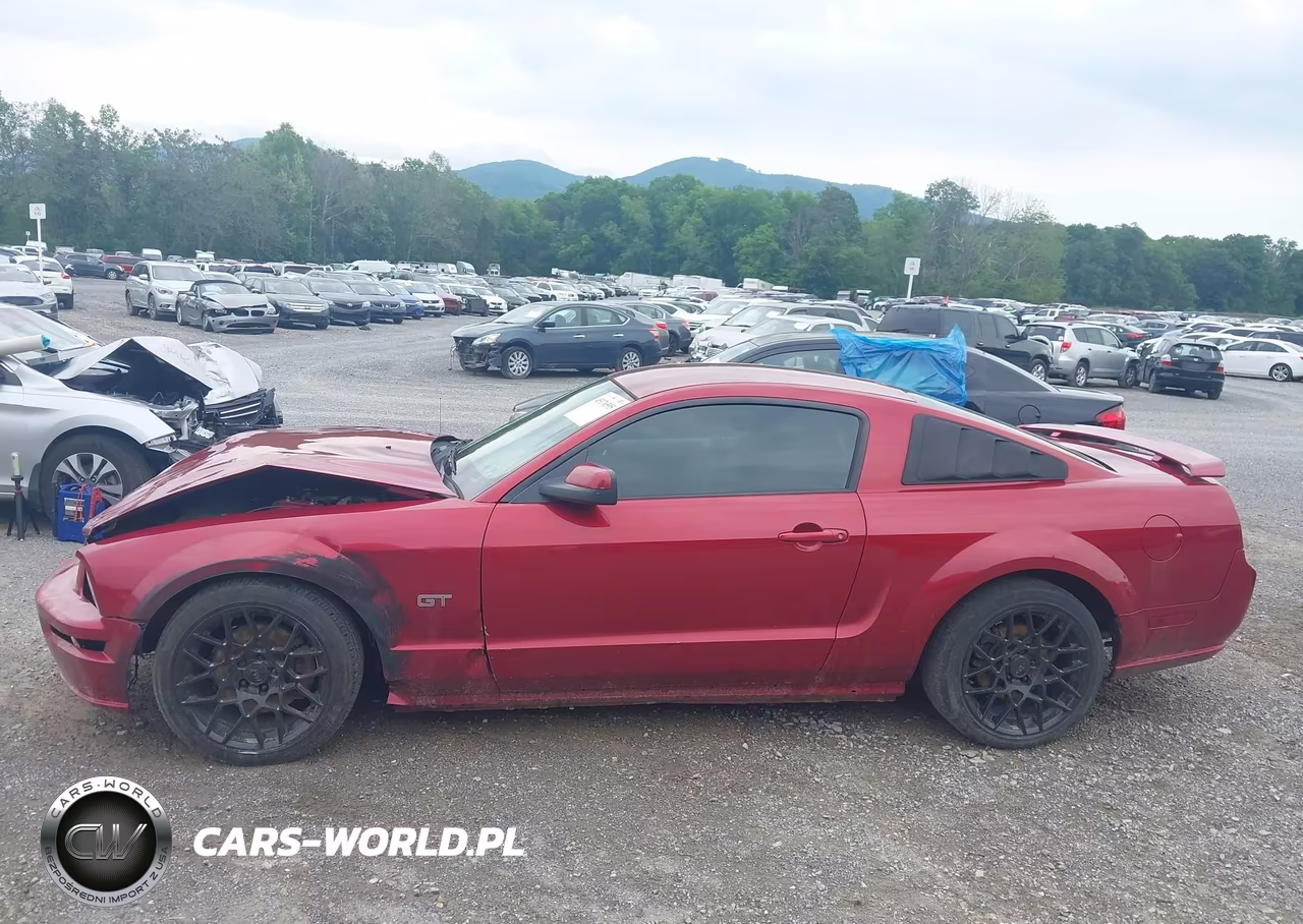2006 Ford Mustang Gt VIN:1ZVFT82H065151867 - 15