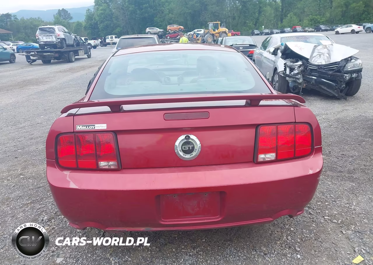 2006 Ford Mustang Gt VIN:1ZVFT82H065151867 - 17