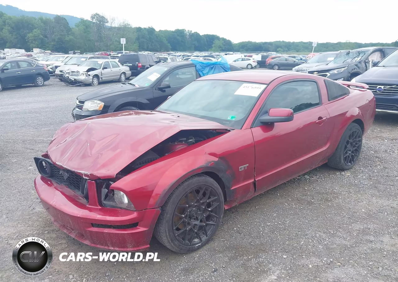 2006 Ford Mustang Gt VIN:1ZVFT82H065151867 - 2