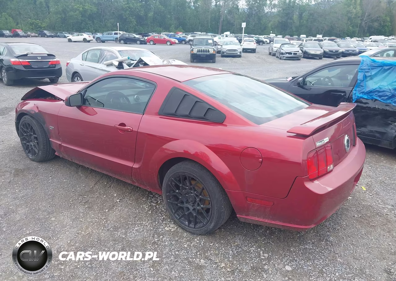 2006 Ford Mustang Gt VIN:1ZVFT82H065151867 - 3