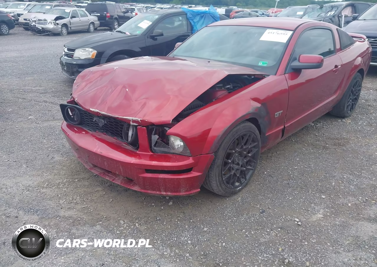 2006 Ford Mustang Gt VIN:1ZVFT82H065151867 - 6