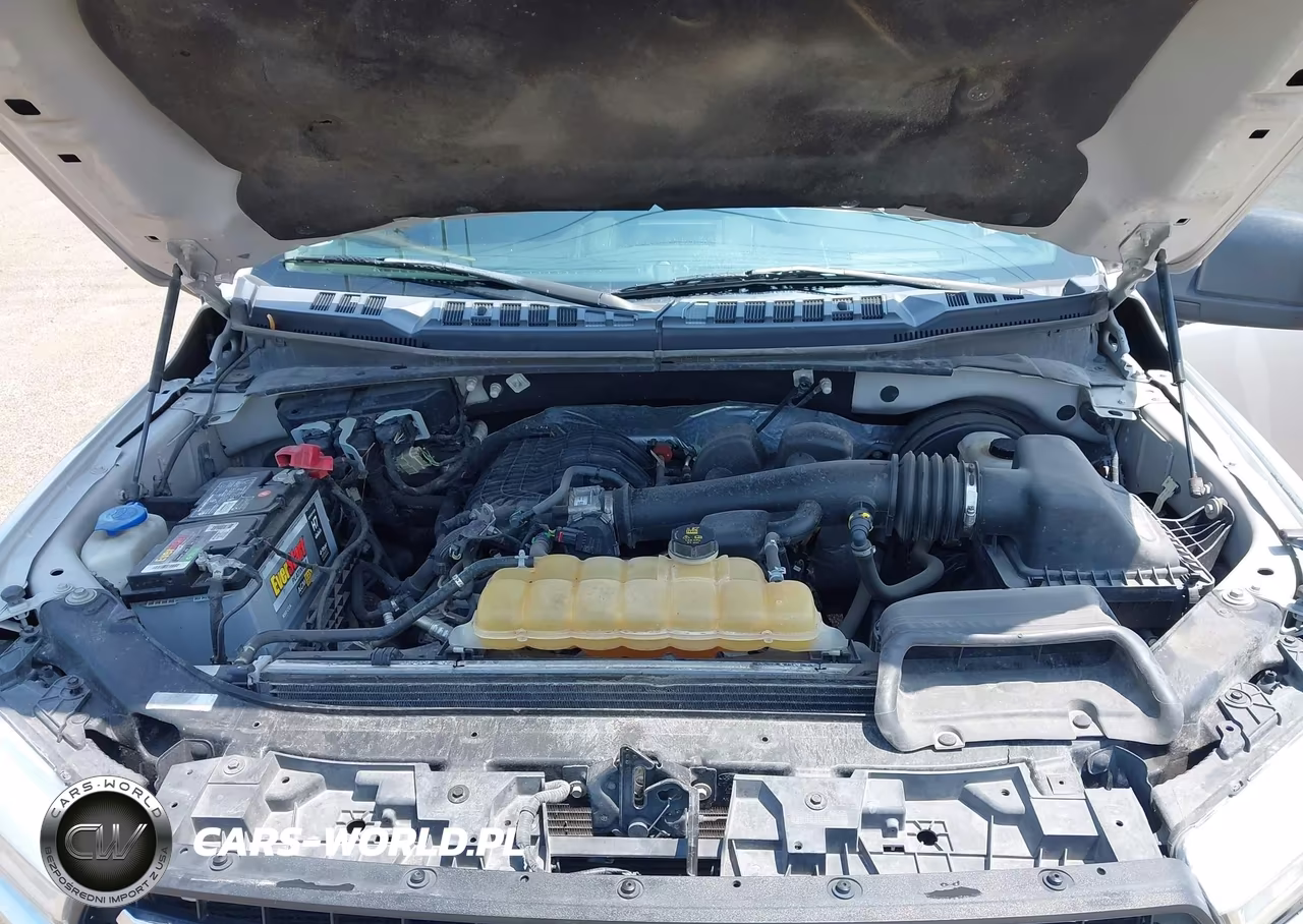 2019 Ford F-150 Xlt VIN:1FTEW1CB1KKC40513 - 10