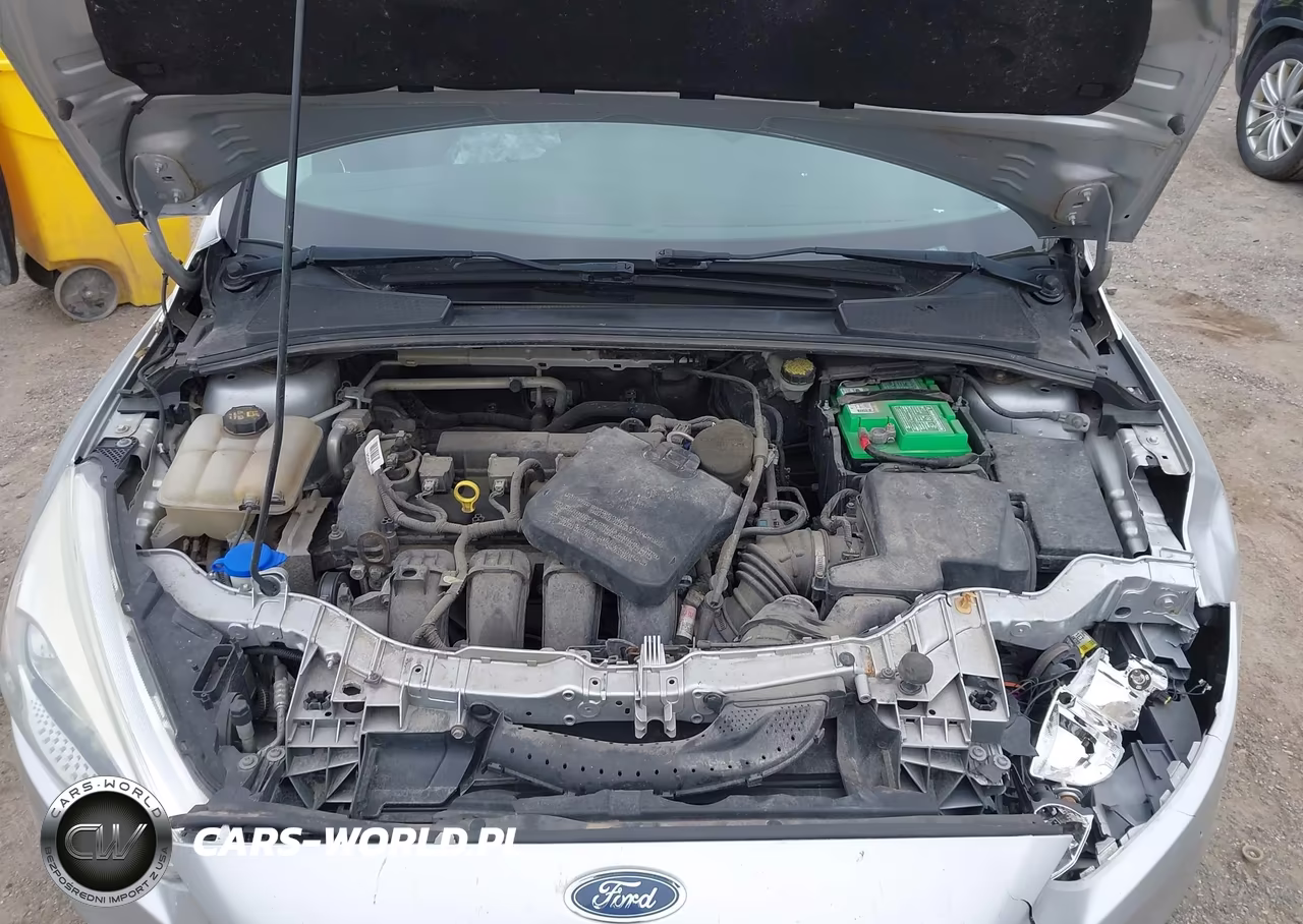 2015 Ford Focus Se VIN:1FADP3K20FL295255 - 10