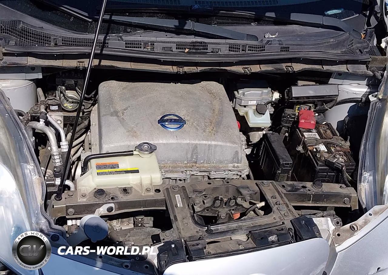 2013 Nissan Leaf Sv VIN:1N4AZ0CP7DC404510 - 10