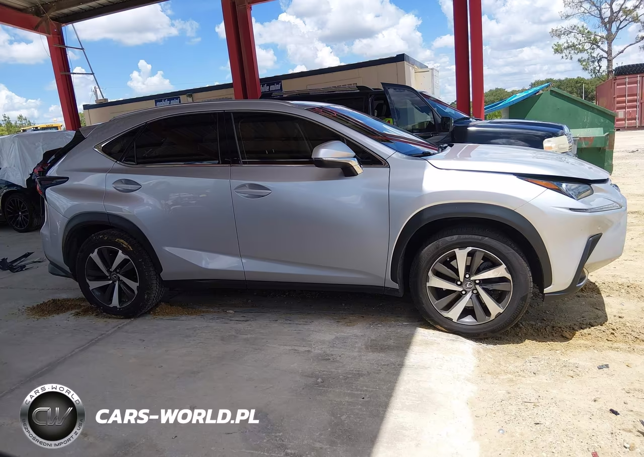 2018 Lexus Nx 300 VIN:JTJYARBZ4J2092622 - 13