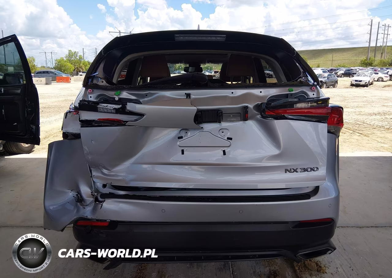 2018 Lexus Nx 300 VIN:JTJYARBZ4J2092622 - 16