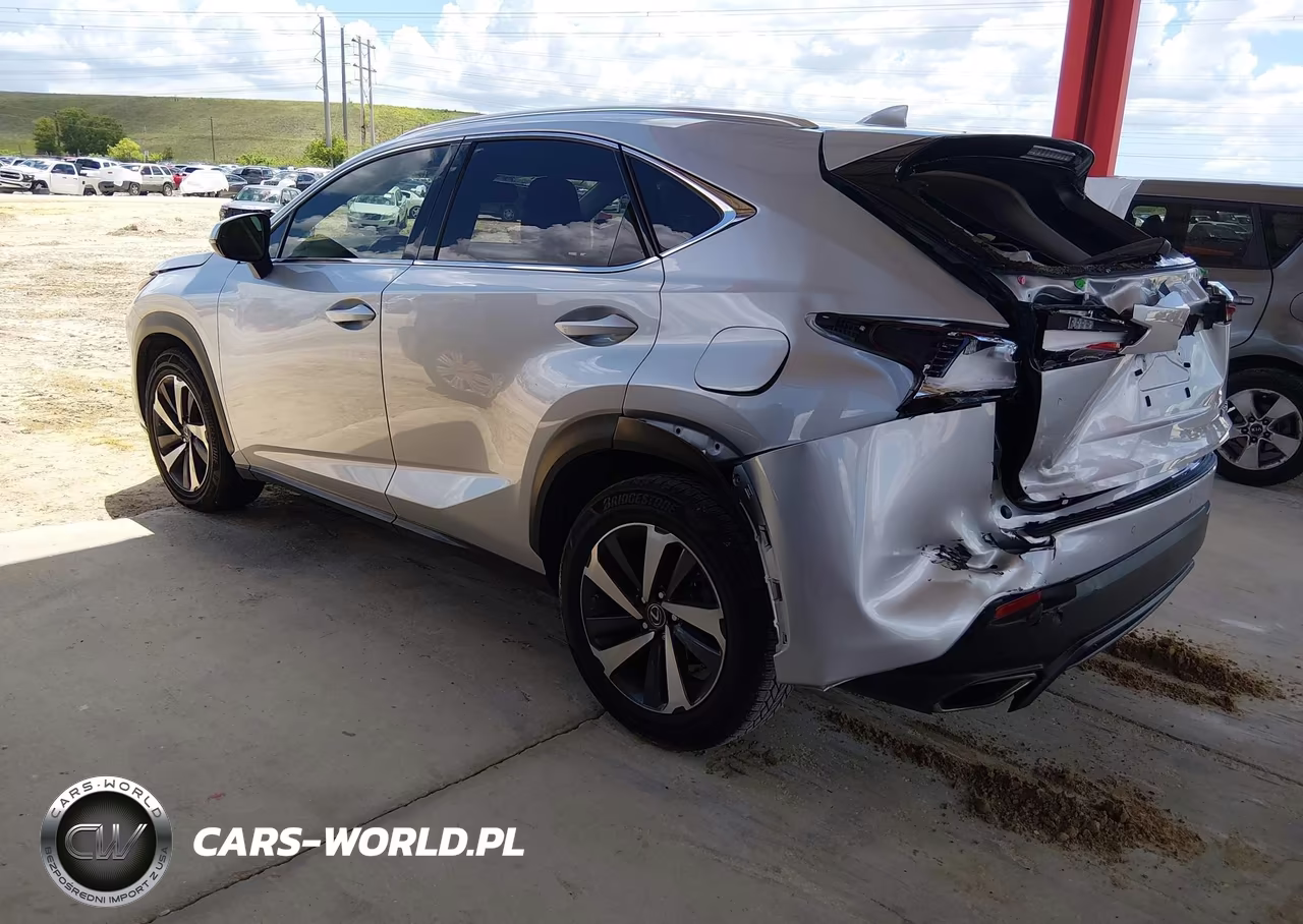 2018 Lexus Nx 300 VIN:JTJYARBZ4J2092622 - 3