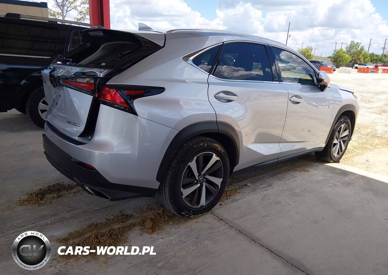 2018 Lexus Nx 300 VIN:JTJYARBZ4J2092622 - 4