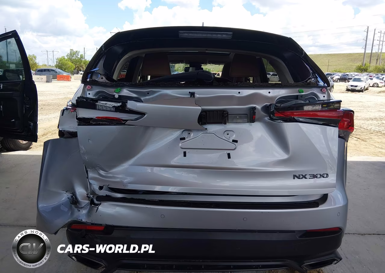 2018 Lexus Nx 300 VIN:JTJYARBZ4J2092622 - 6