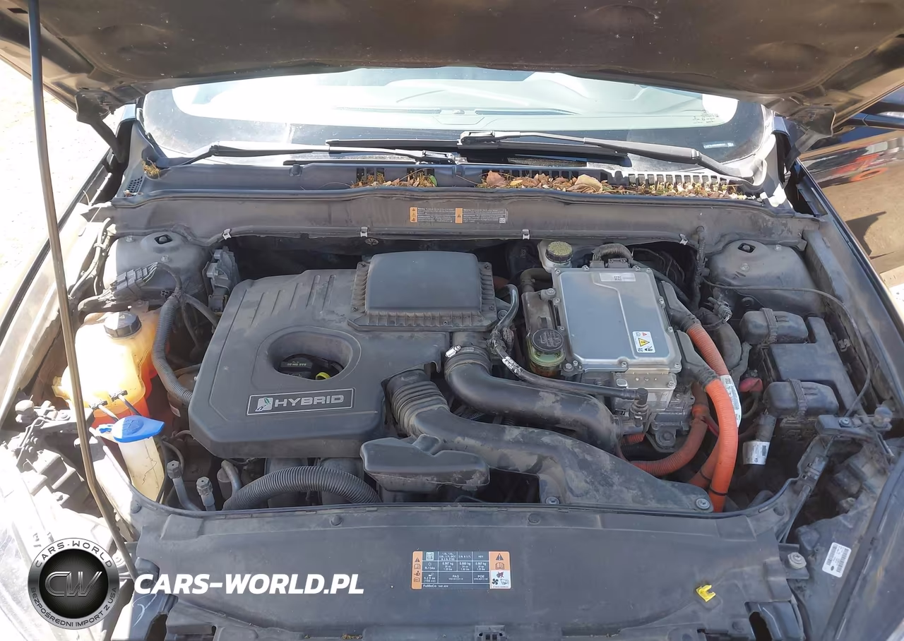 2014 Ford Fusion Hybrid Se VIN:3FA6P0LU4ER260161 - 10