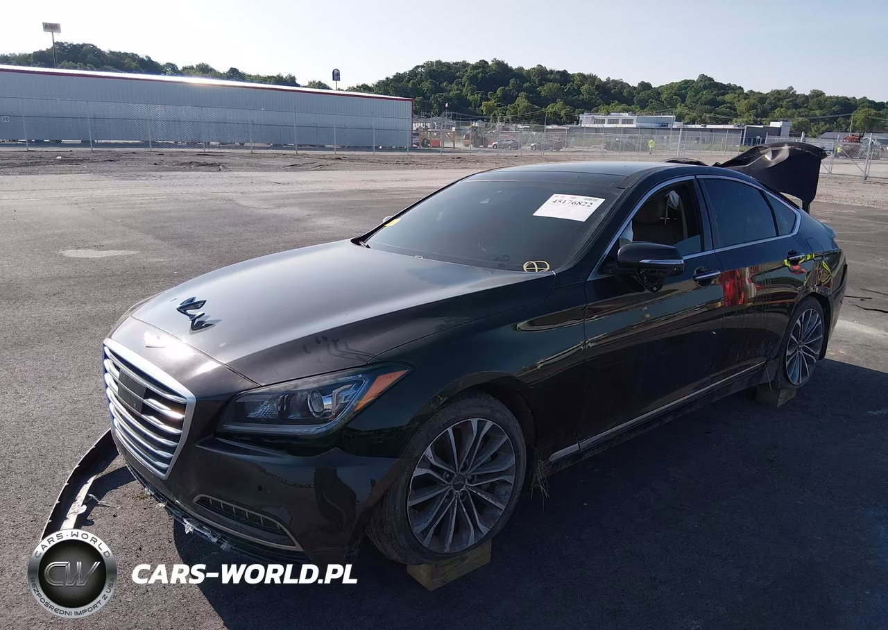 2015 Hyundai Genesis 3.8 VIN:KMHGN4JE4FU073886 - 2
