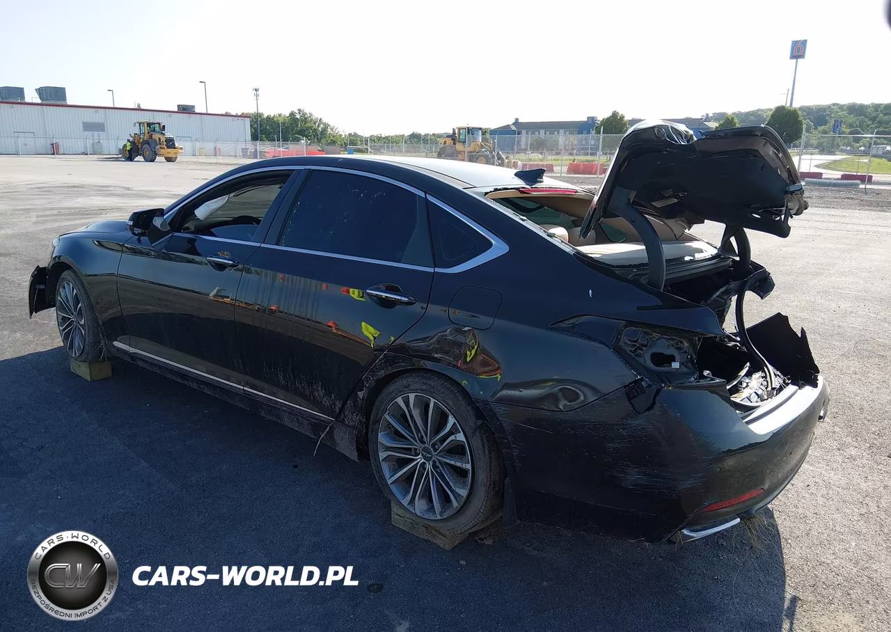 2015 Hyundai Genesis 3.8 VIN:KMHGN4JE4FU073886 - 3