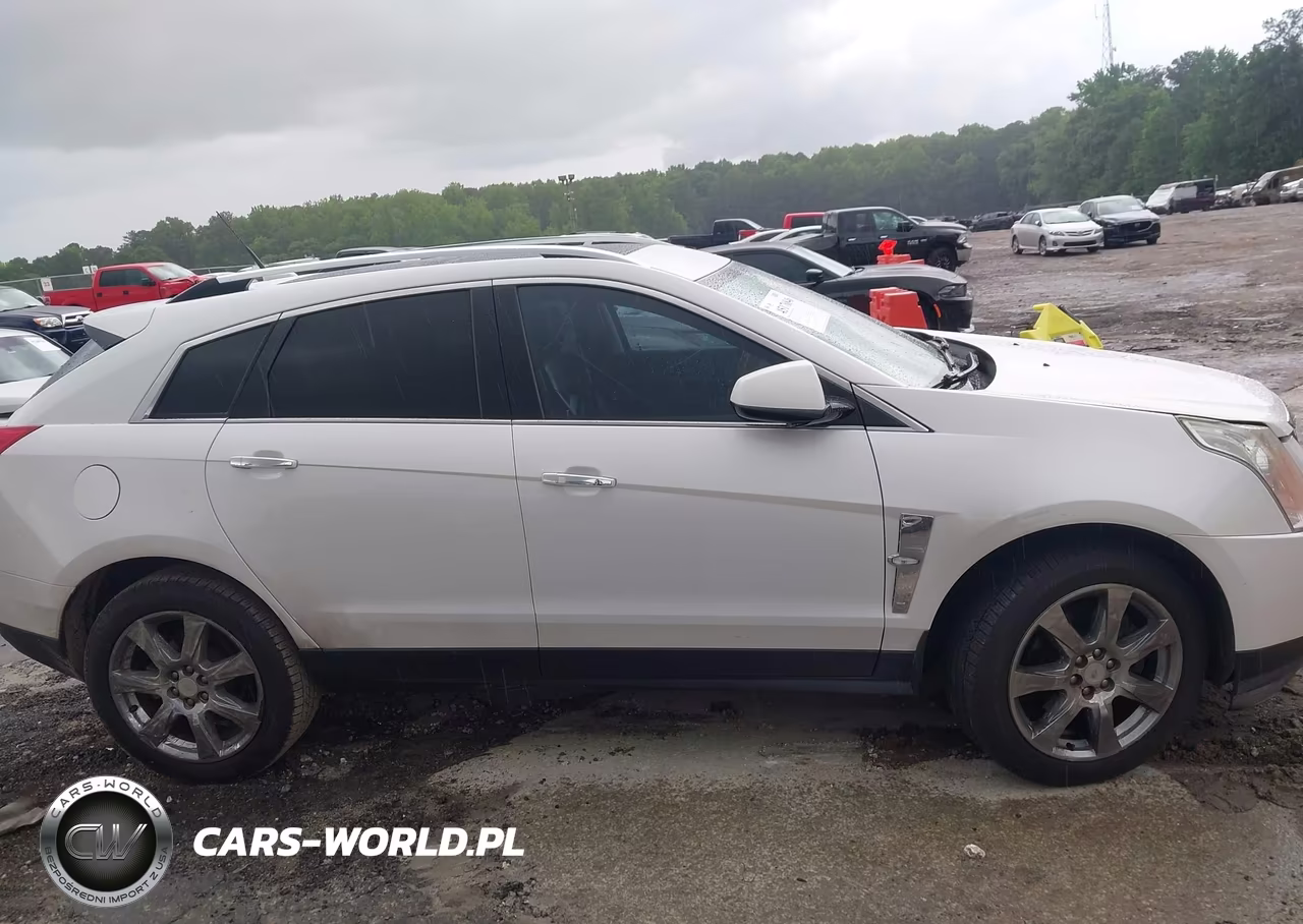2010 Cadillac Srx Premium Collection VIN:3GYFNCEY4AS554870 - 13