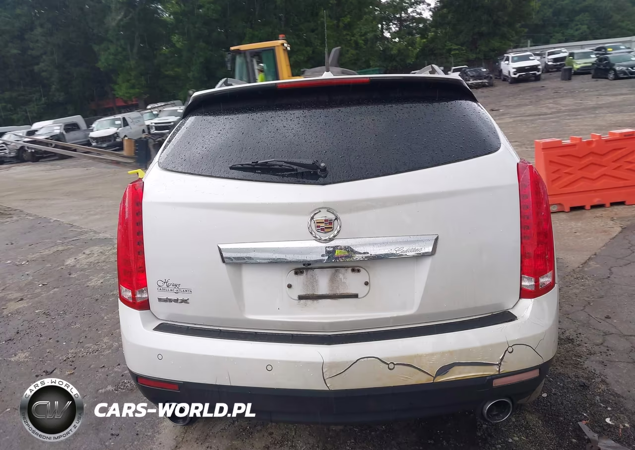2010 Cadillac Srx Premium Collection VIN:3GYFNCEY4AS554870 - 16