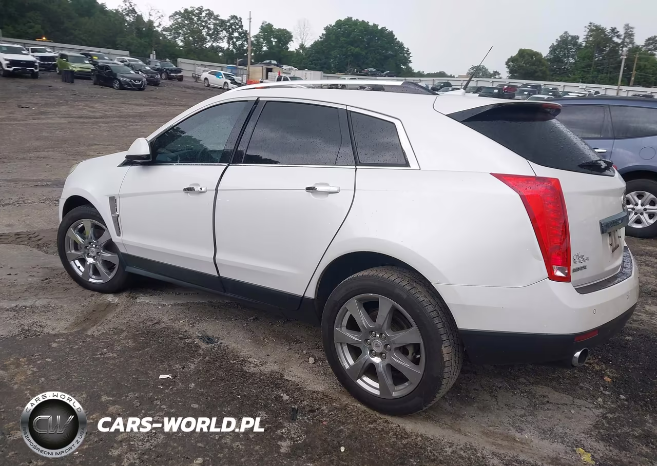 2010 Cadillac Srx Premium Collection VIN:3GYFNCEY4AS554870 - 3