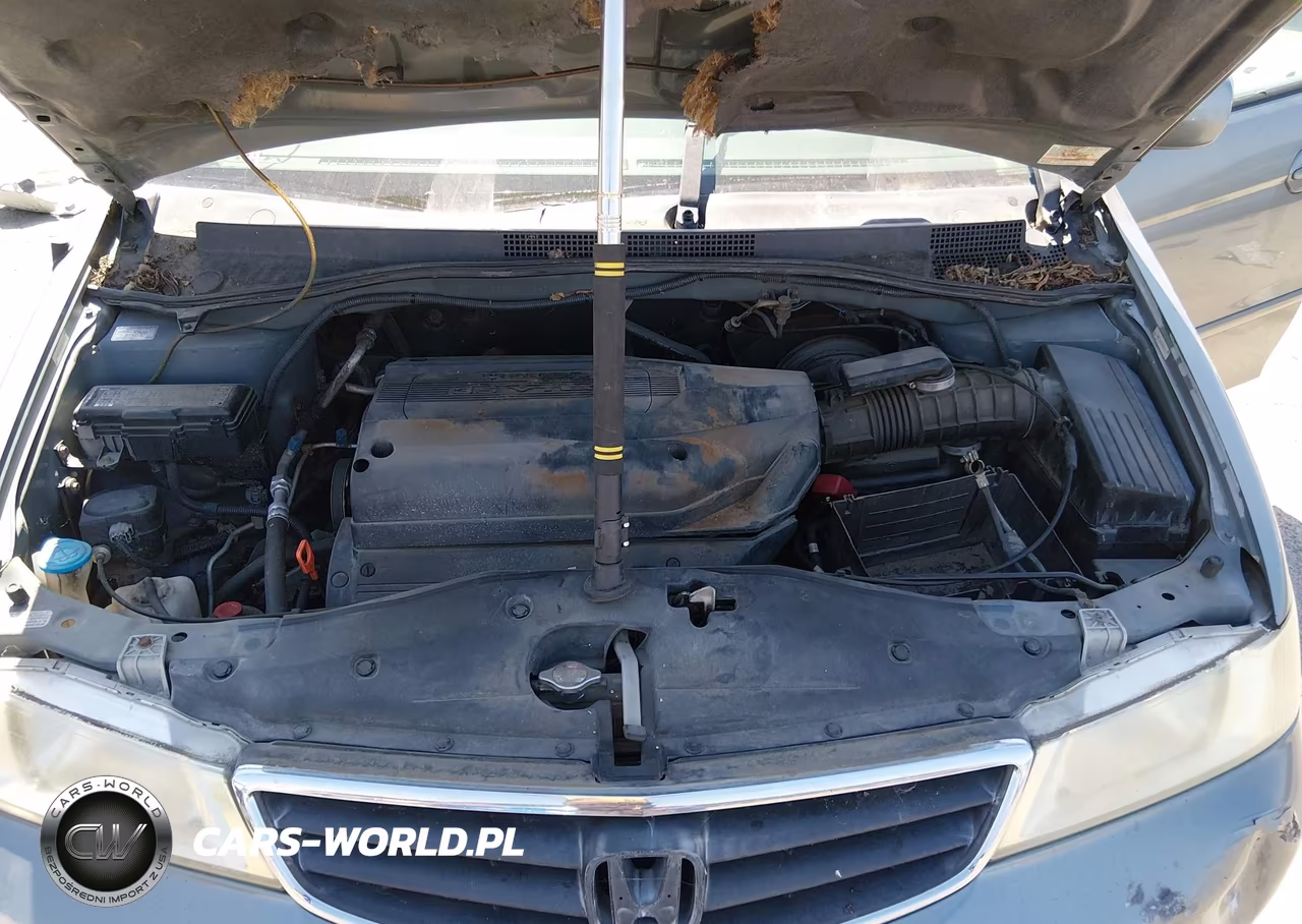 2002 Honda Odyssey Ex VIN:5FNRL18602B019987 - 10