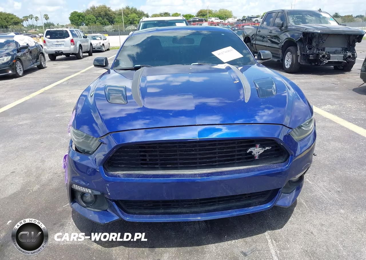 2016 Ford Mustang Gt Premium VIN:1FA6P8CF4G5251577 - 12