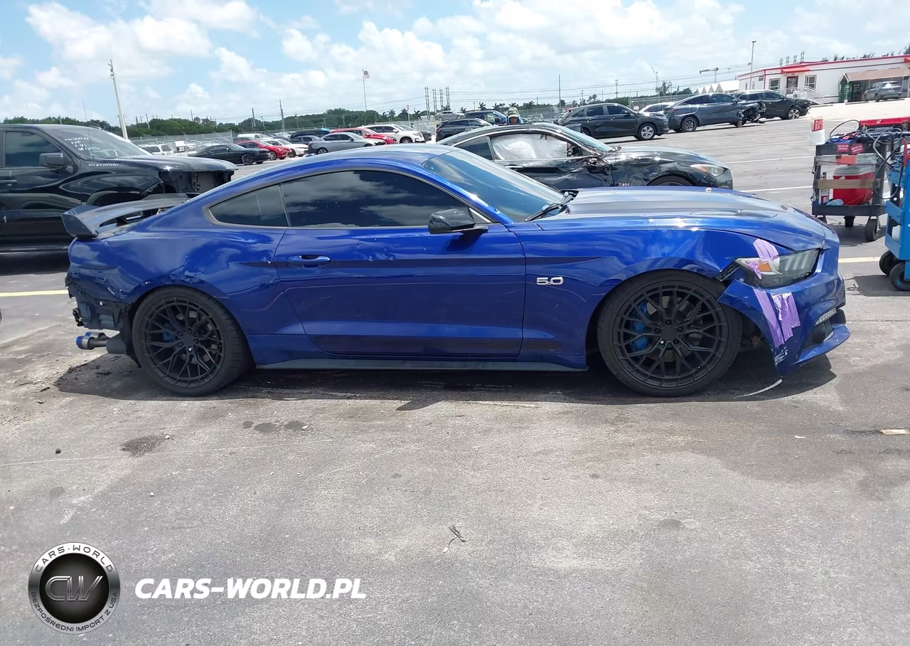 2016 Ford Mustang Gt Premium VIN:1FA6P8CF4G5251577 - 13
