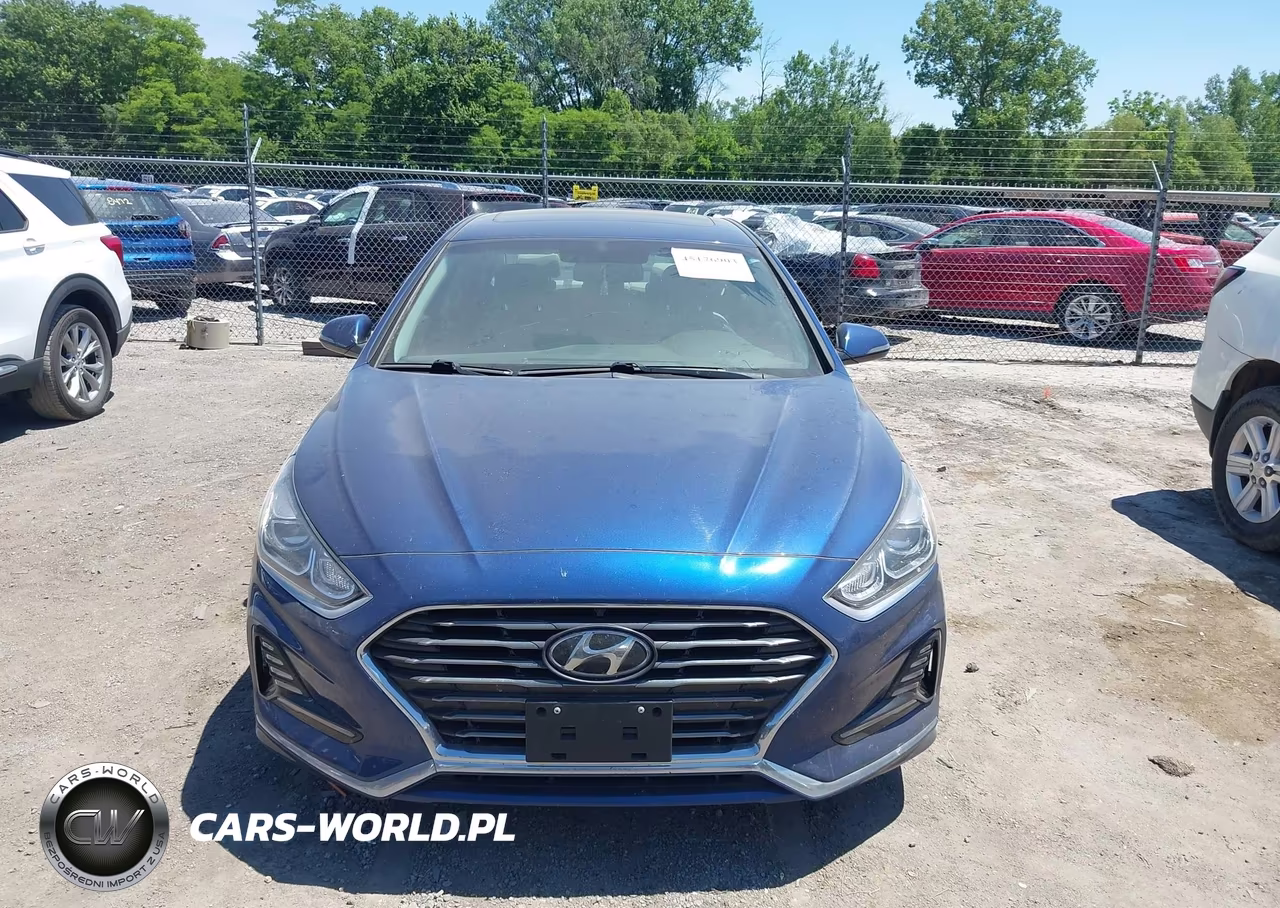 2018 Hyundai Sonata Limited VIN:5NPE34AF8JH660069 - 12