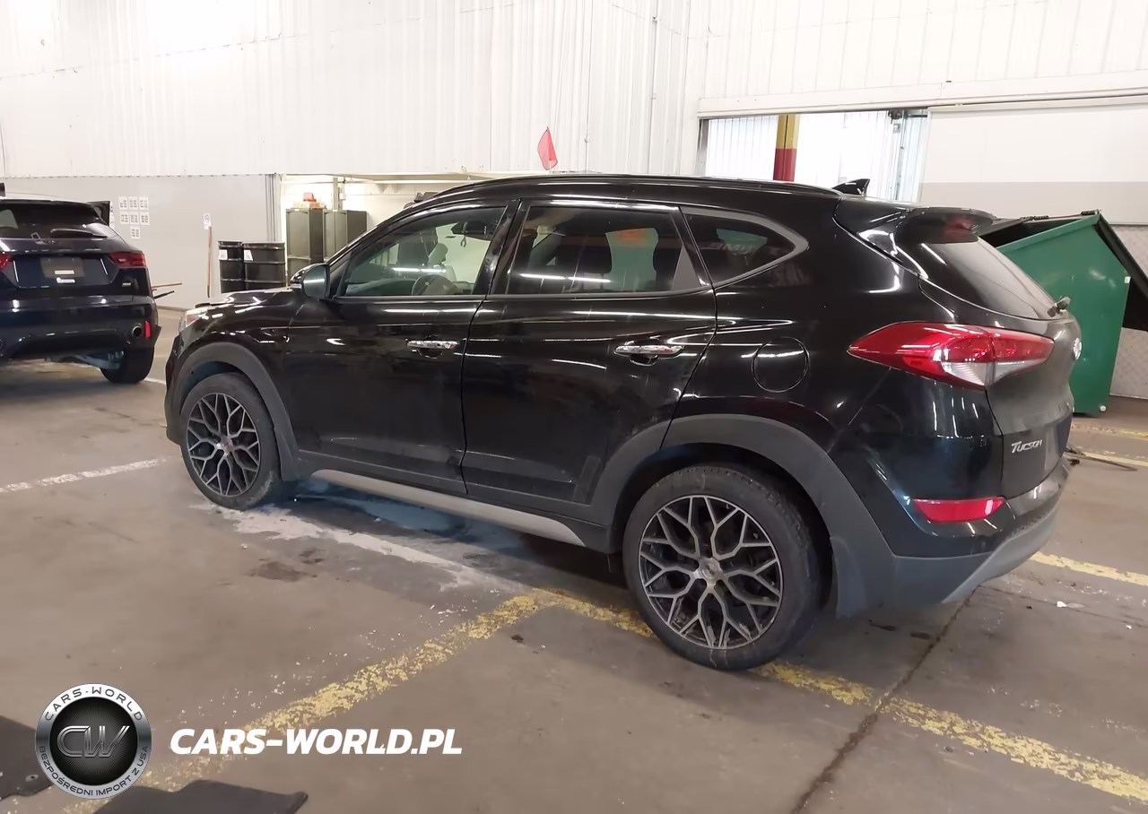 2018 Hyundai Tucson Limited VIN:KM8J3CA26JU700544 - 3