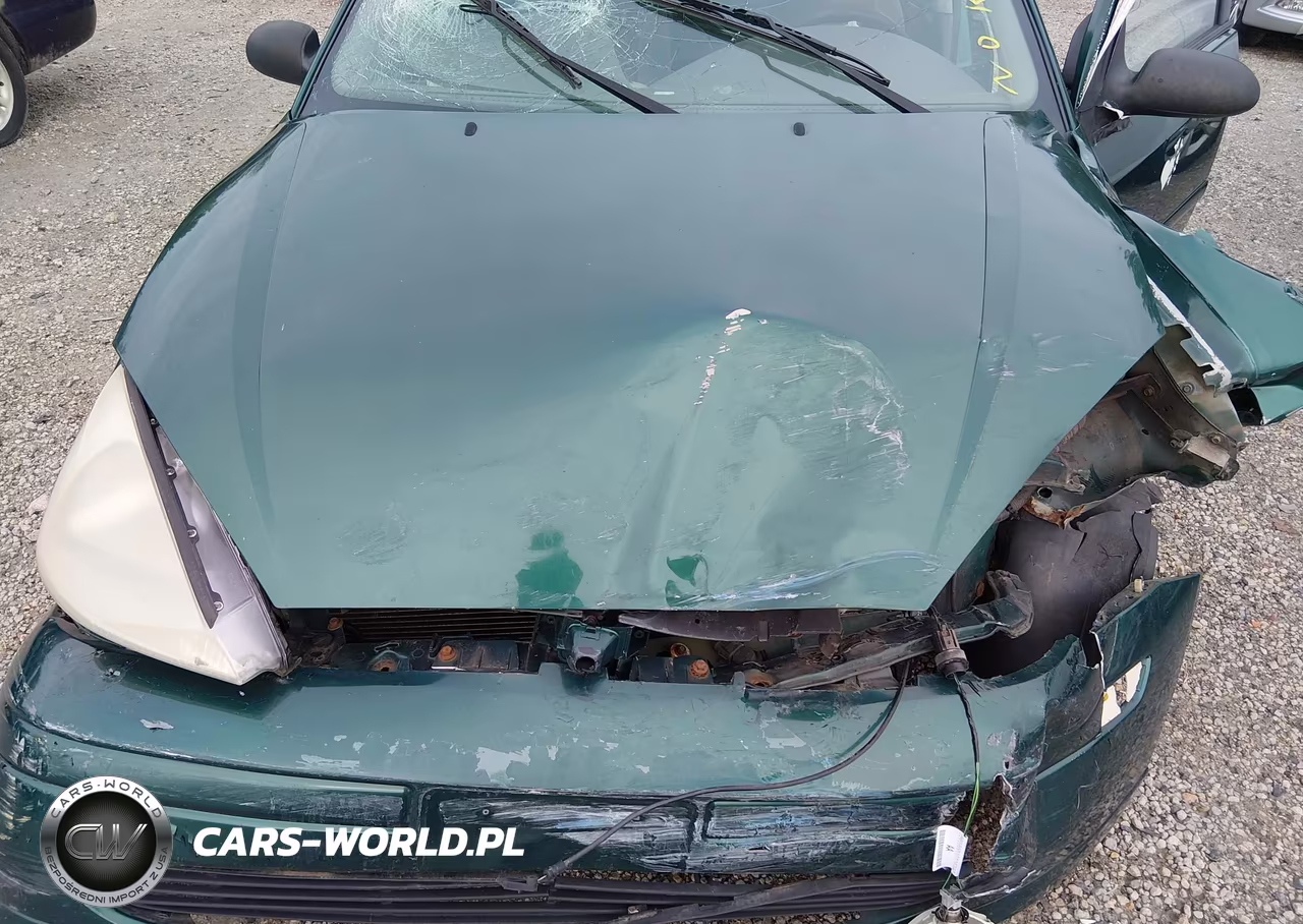 2000 Ford Focus Se VIN:1FAFP3434YW253977 - 10