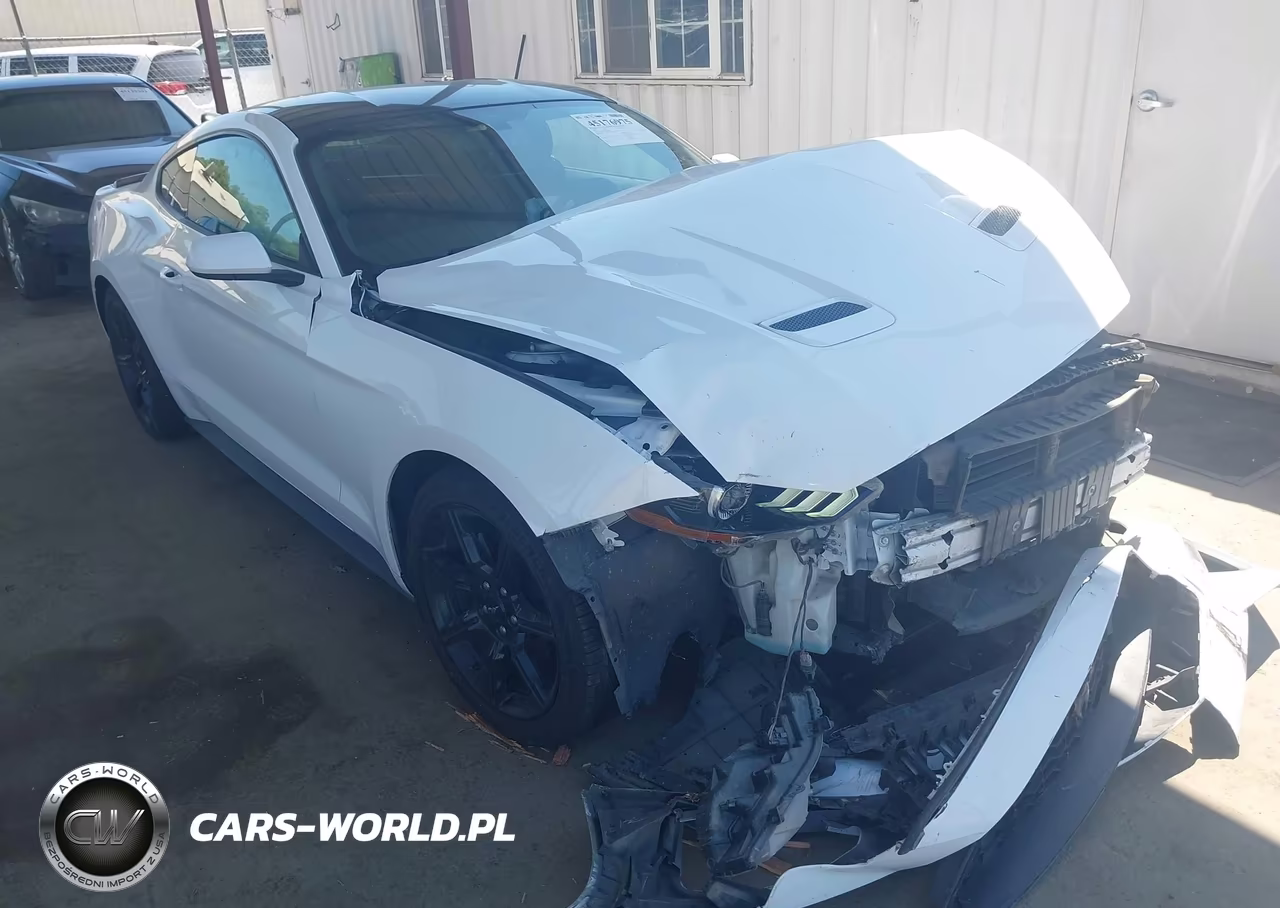 2019 Ford Mustang Ecoboost