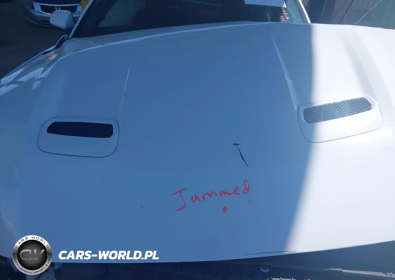 2019 Ford Mustang Ecoboost VIN:1FA6P8TH7K5188307 - 10