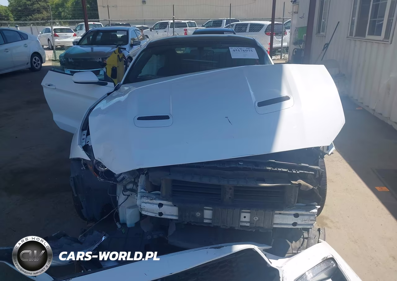 2019 Ford Mustang Ecoboost VIN:1FA6P8TH7K5188307 - 13