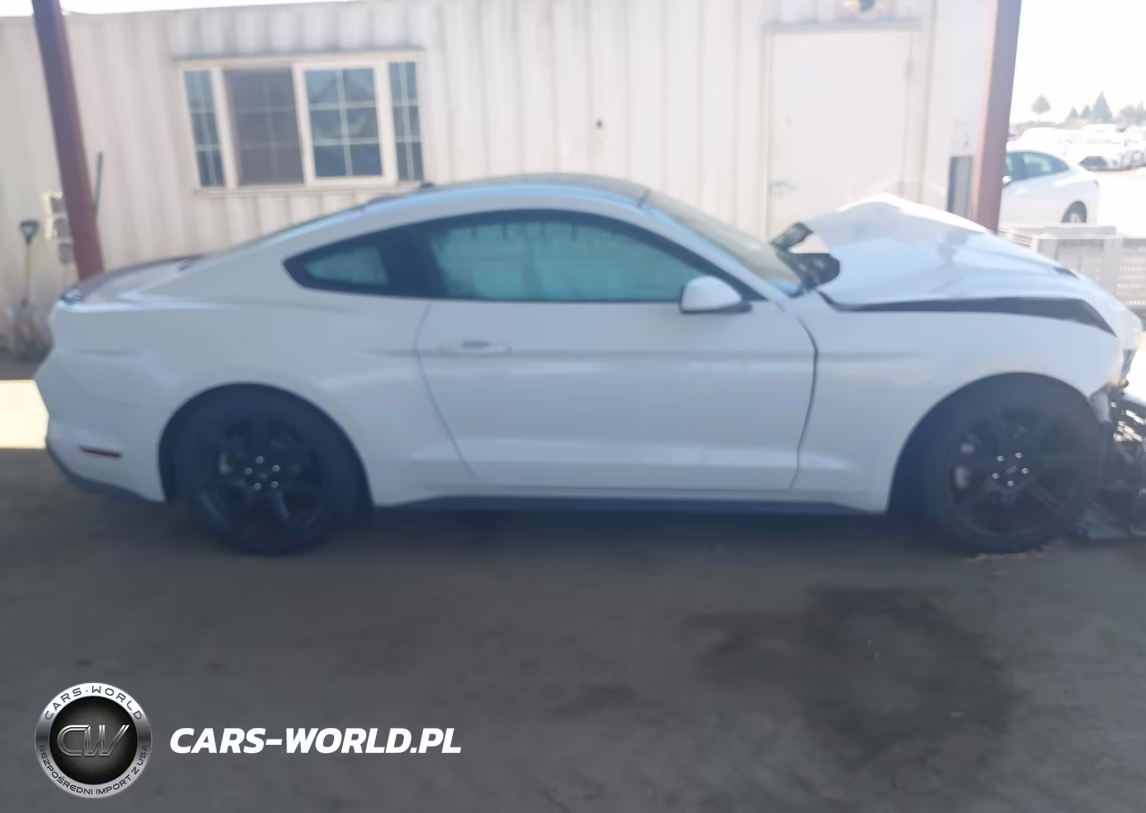 2019 Ford Mustang Ecoboost VIN:1FA6P8TH7K5188307 - 14