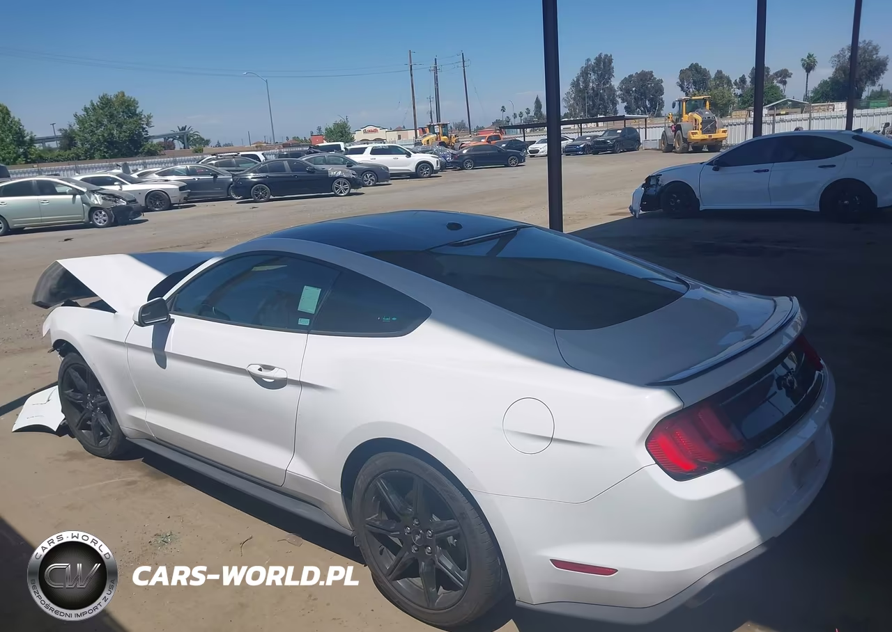 2019 Ford Mustang Ecoboost VIN:1FA6P8TH7K5188307 - 15