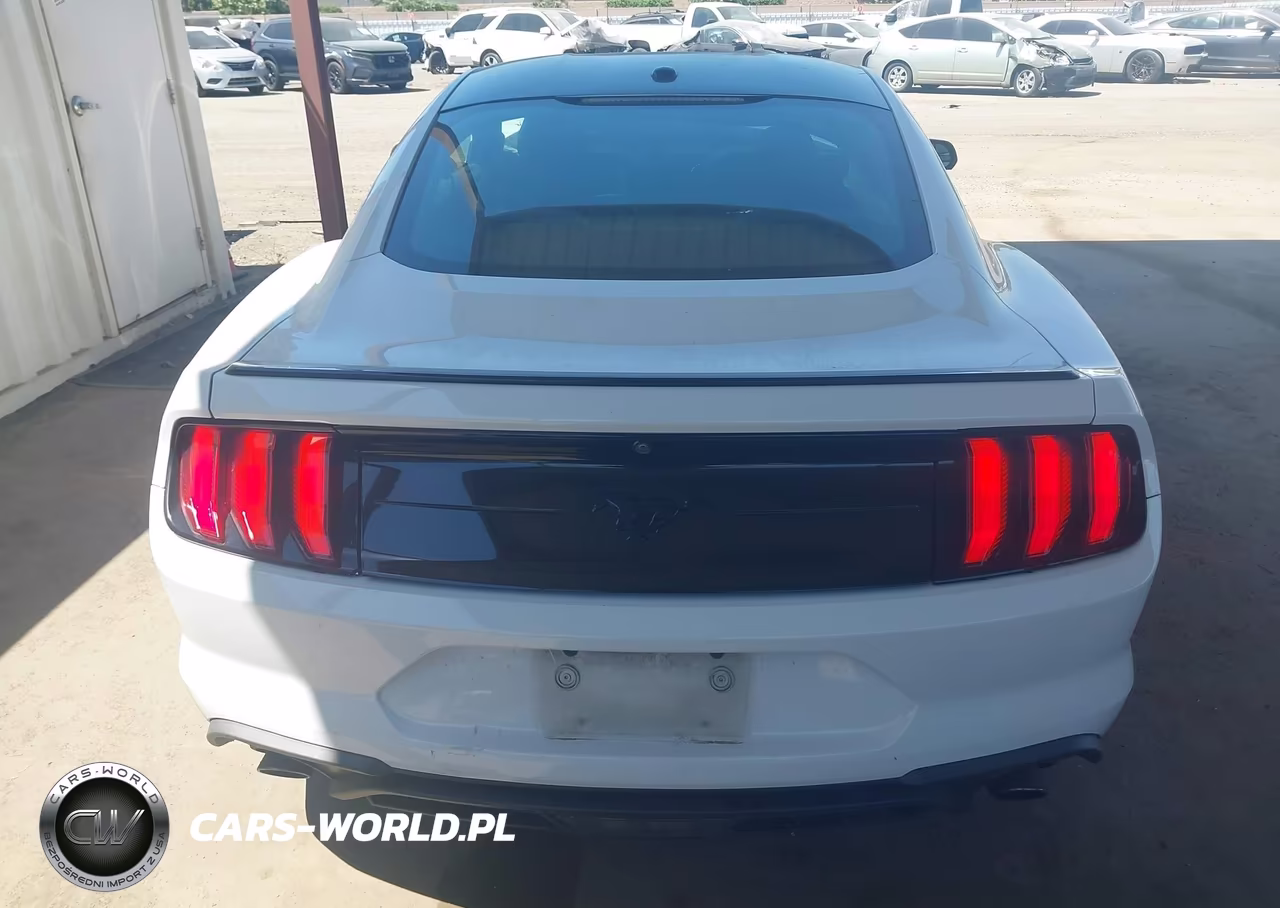 2019 Ford Mustang Ecoboost VIN:1FA6P8TH7K5188307 - 17