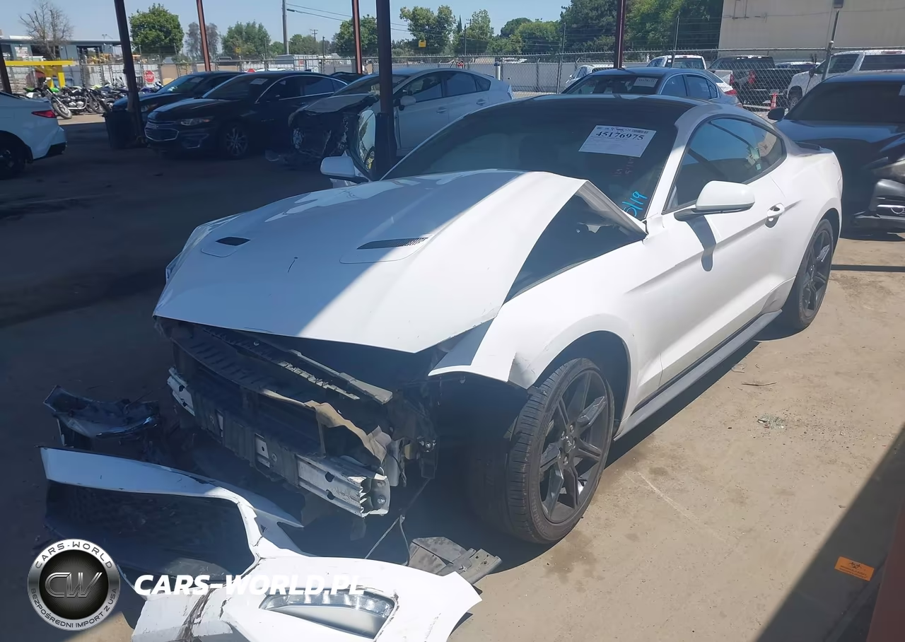 2019 Ford Mustang Ecoboost VIN:1FA6P8TH7K5188307 - 2
