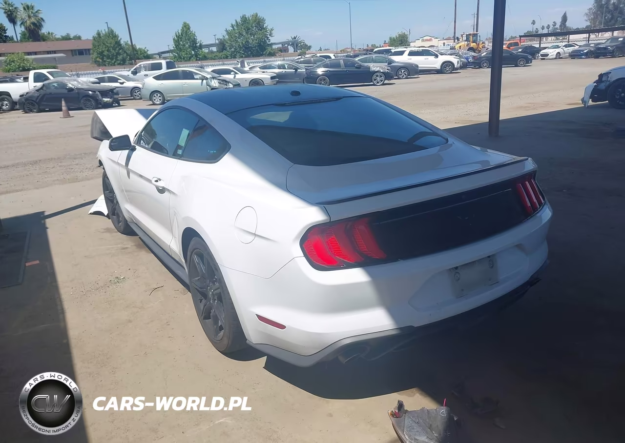 2019 Ford Mustang Ecoboost VIN:1FA6P8TH7K5188307 - 3