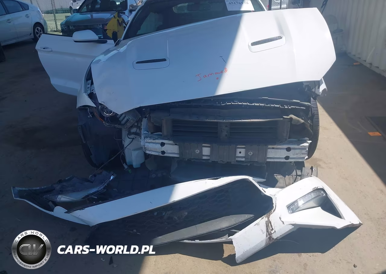 2019 Ford Mustang Ecoboost VIN:1FA6P8TH7K5188307 - 6