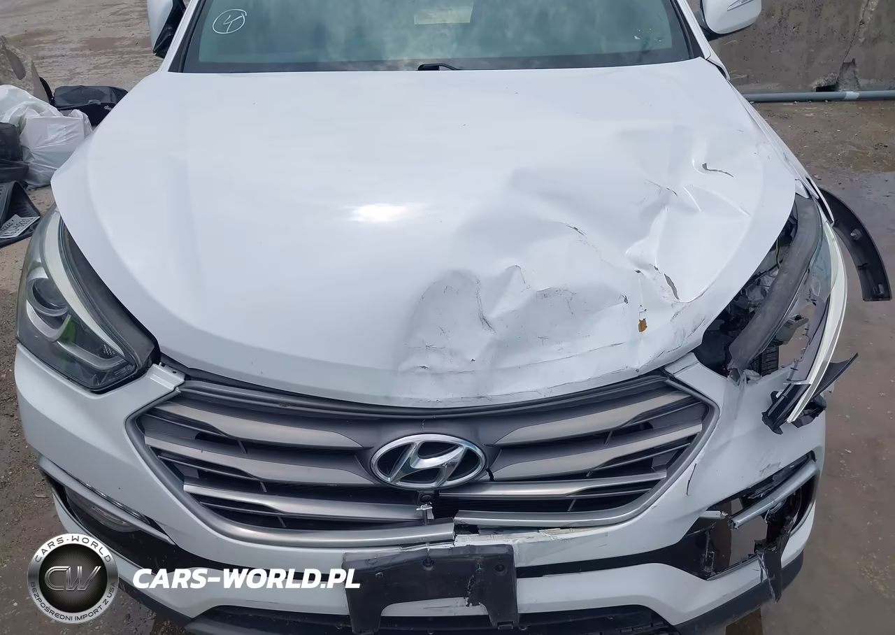 2018 Hyundai Santa Fe Sport 2.4L VIN:5XYZU3LB3JG548323 - 10