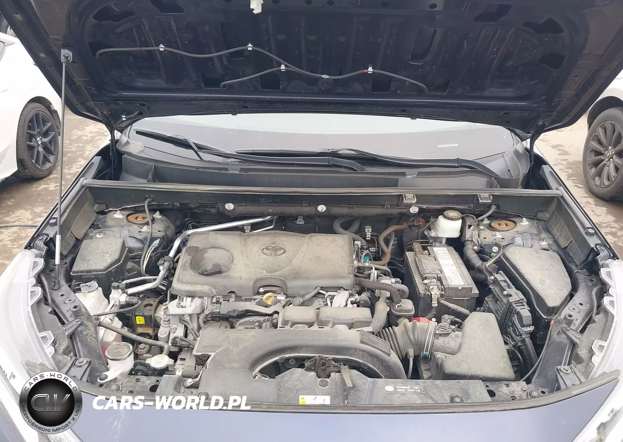 2019 Toyota Rav4 Limited VIN:2T3Y1RFV3KW018773 - 10