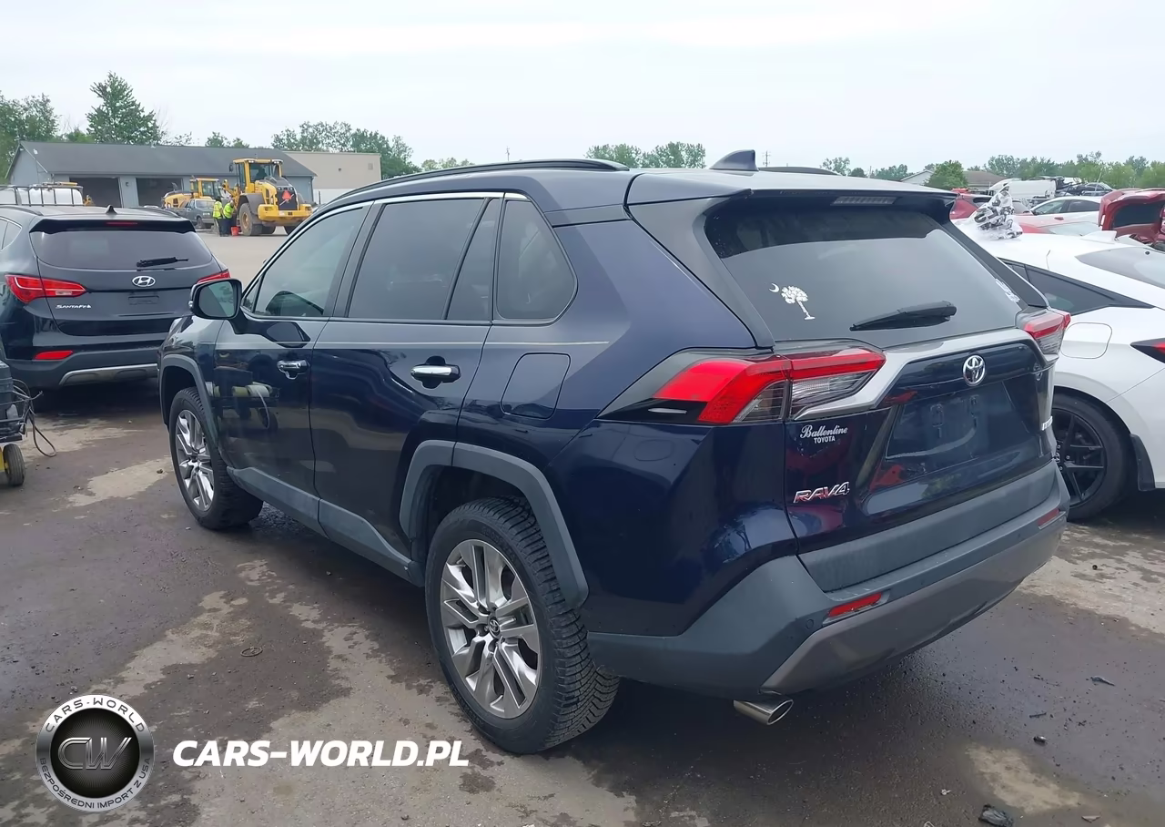 2019 Toyota Rav4 Limited VIN:2T3Y1RFV3KW018773 - 3