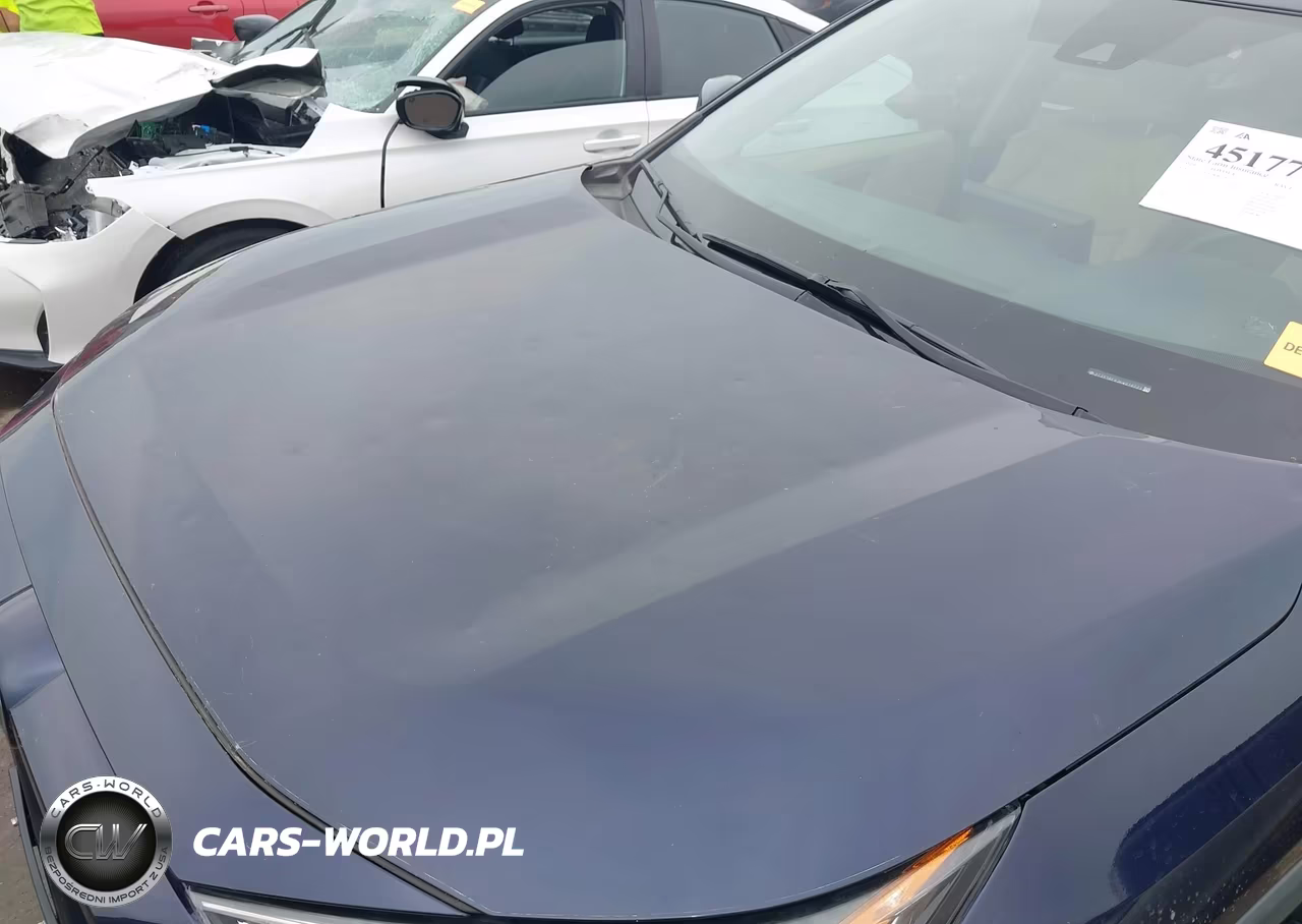 2019 Toyota Rav4 Limited VIN:2T3Y1RFV3KW018773 - 6